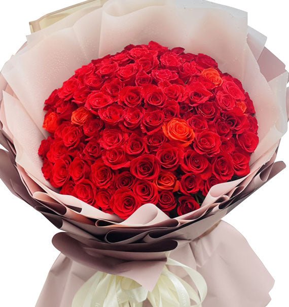 Nụ Hôn Đầu
