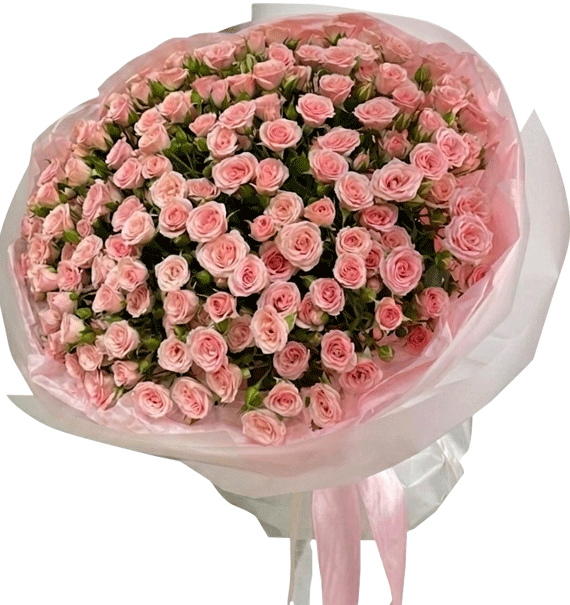 Nụ Hồng Thanh Khiết
