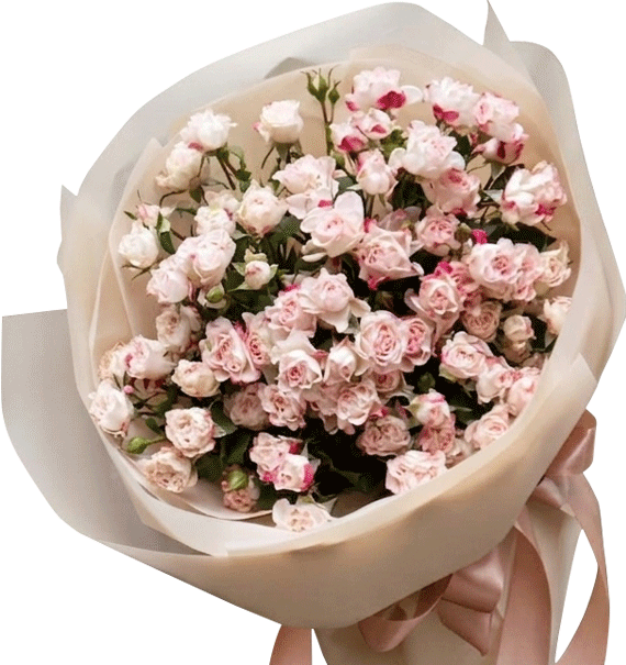Pastel Elegance