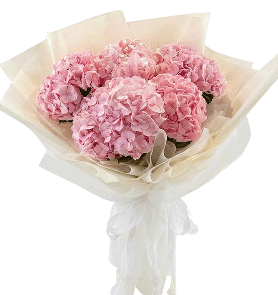 Pink Birthday