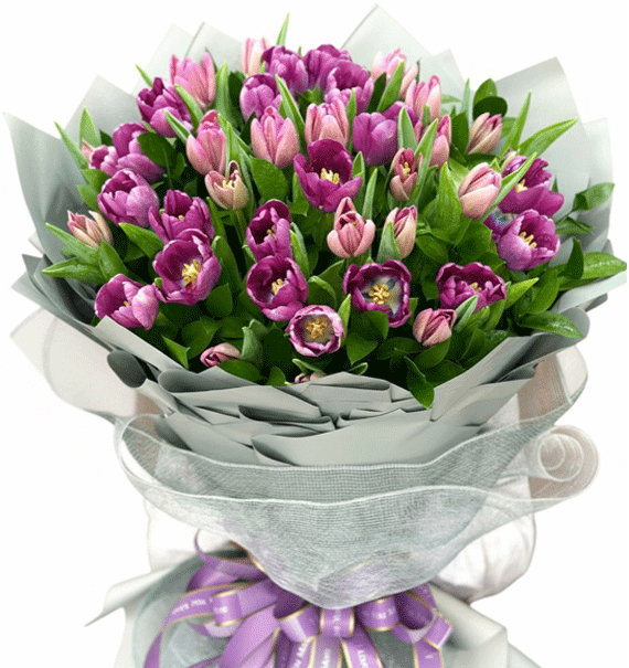 Purple Love Dream