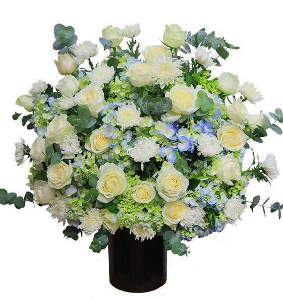 Ra Đi Khi Tuổi Đời Còn Xanh