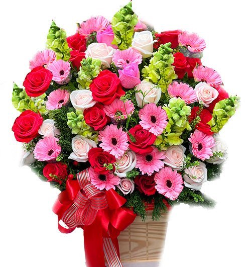 Rose Cream
