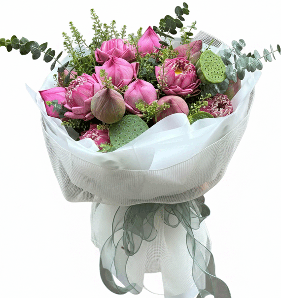 Rose Pink Lotus