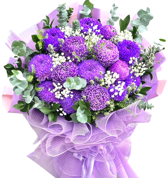 Royal Peony Daisy