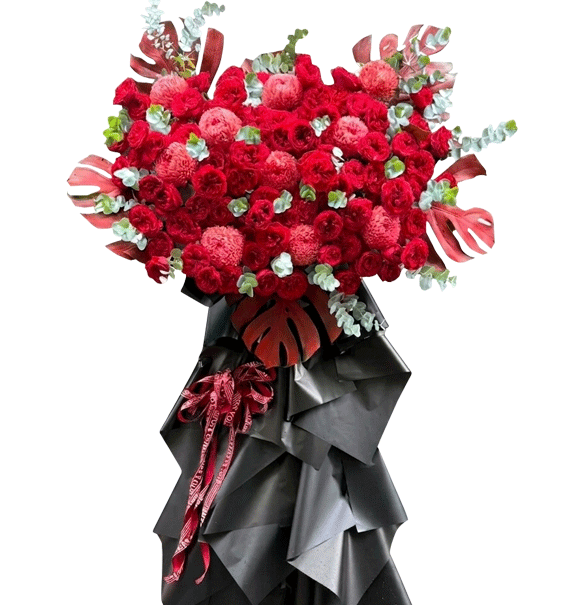 Rực Rỡ Khởi Đầu