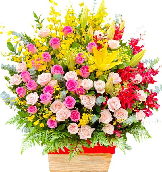 Rực Rỡ Mùa Xuân