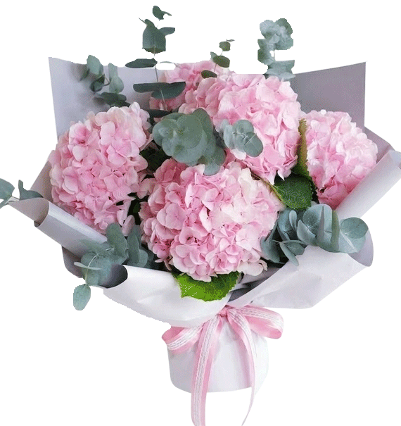 Sắc Hồng An Nhiên