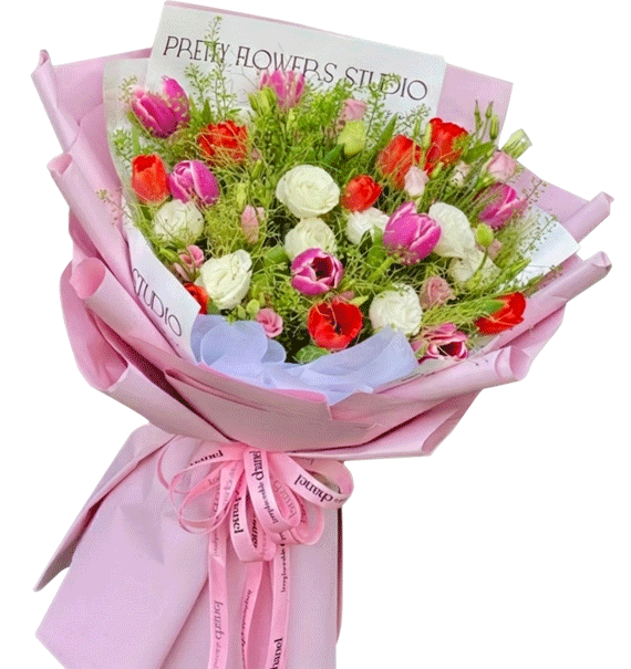 Sắc Màu Hòa Ca