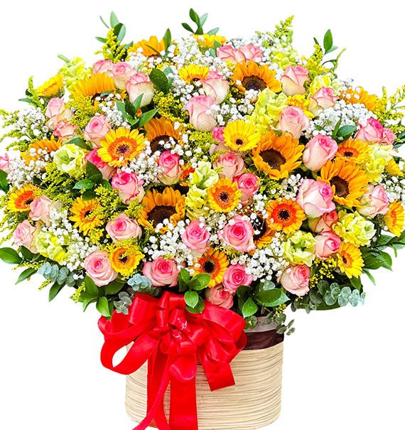 Sắc Màu Vui Tươi