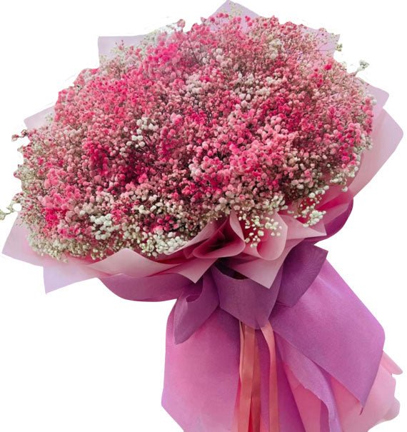 Sắc Mây Hồng