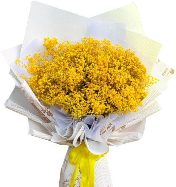 Sắc Nắng Nhẹ