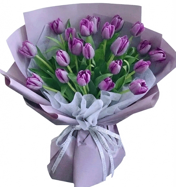 Sắc Tím Quyến Rủ