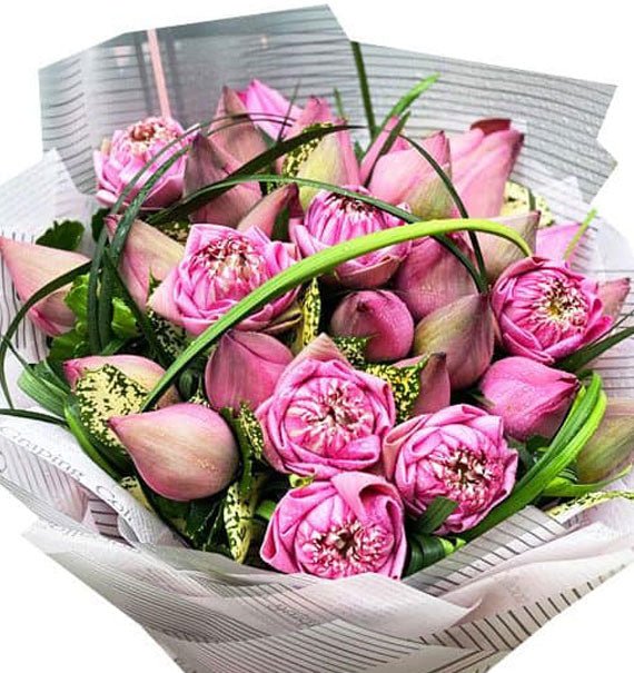 Sen Hồng Mộng Mơ