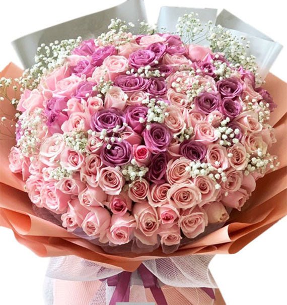 Sinh Nhật Màu Hồng