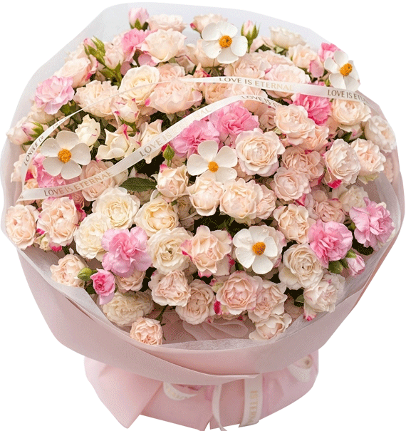 Soft Luxe Bloom