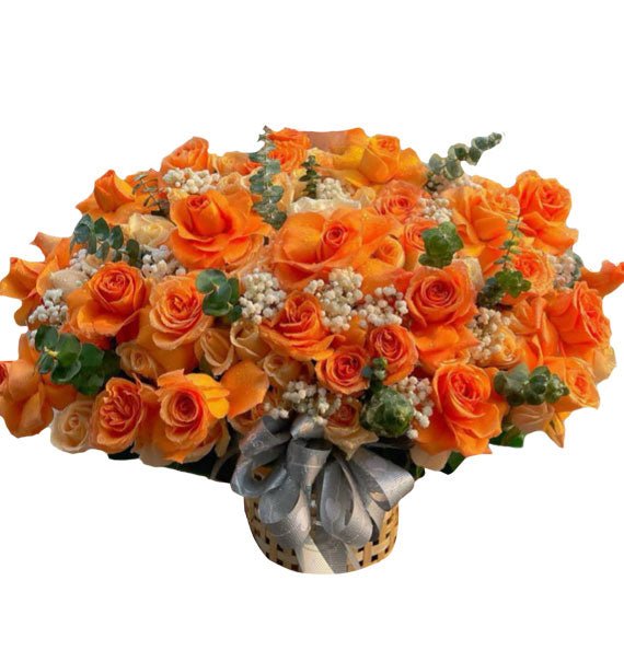Sớm Nở Tối Phát