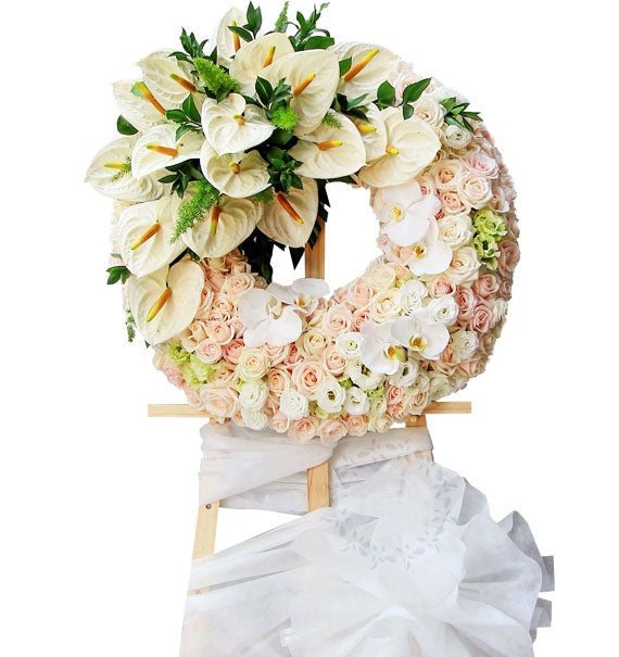 Sự Thanh Cao Và Tình Yêu