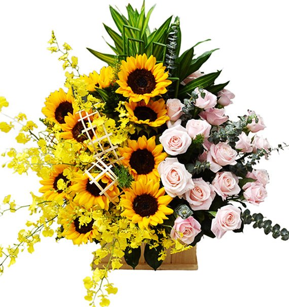 Sức Trẻ