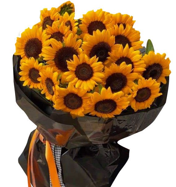 Sunny Wishes