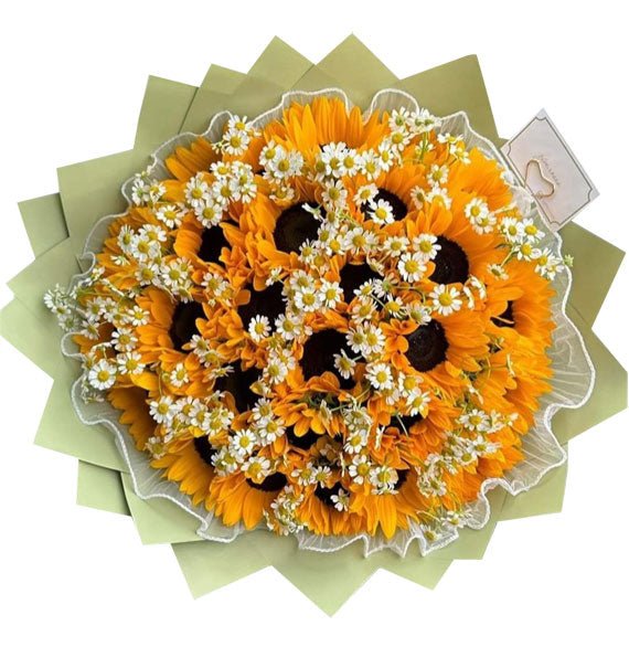 Sunshine For You