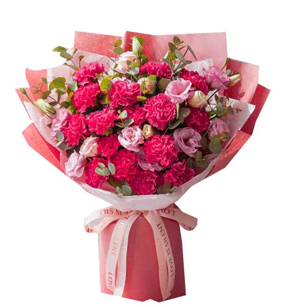 Sweet Carnation