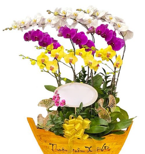 Thịnh Vượng Đầu Vị