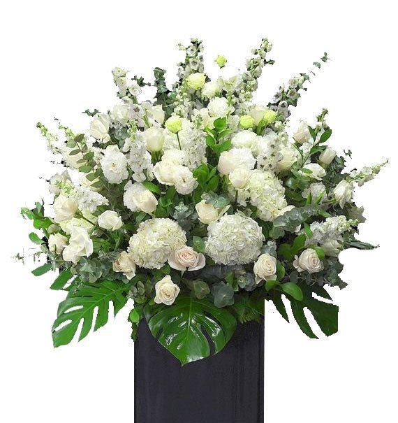 Thương Tiếc Người Trẻ Tài Hoa