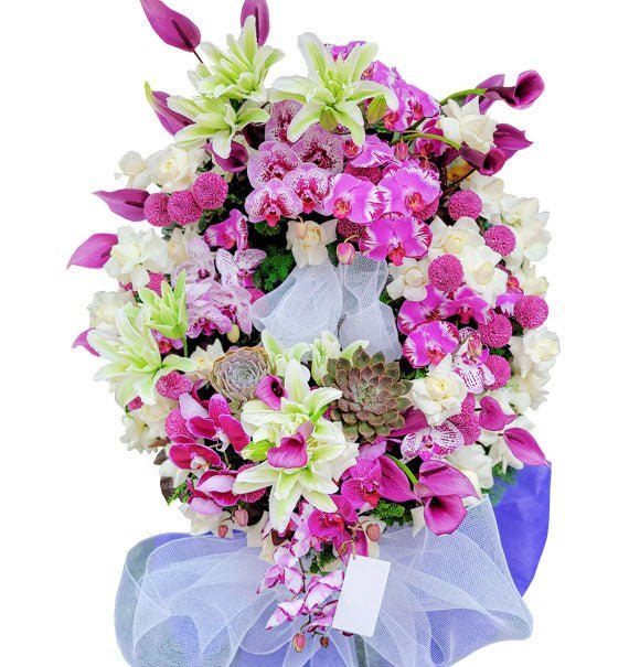 Tình Thân Cứu Rỗi