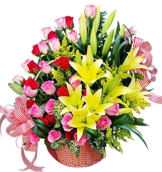 Tỏa Sáng Ngày Sinh Nhật