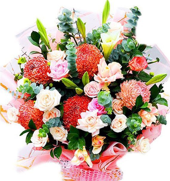 Tri Ân Dịu Dàng