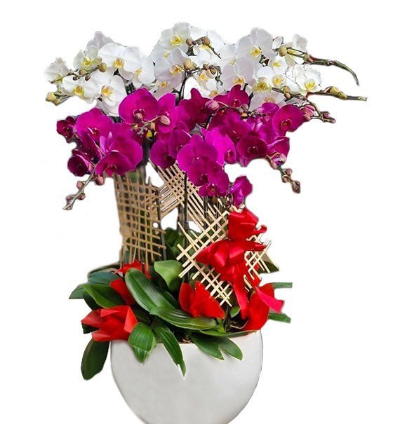 Trường Vượng Tím Hoa