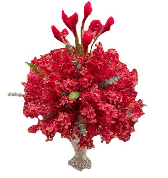 Velvet Bloom