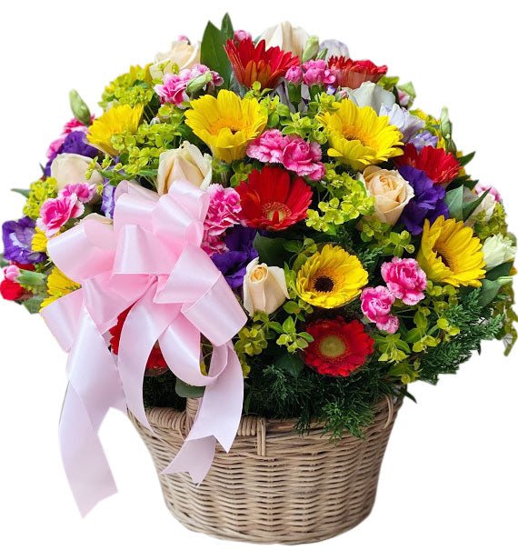 Vũ Điệu Của Sắc Màu