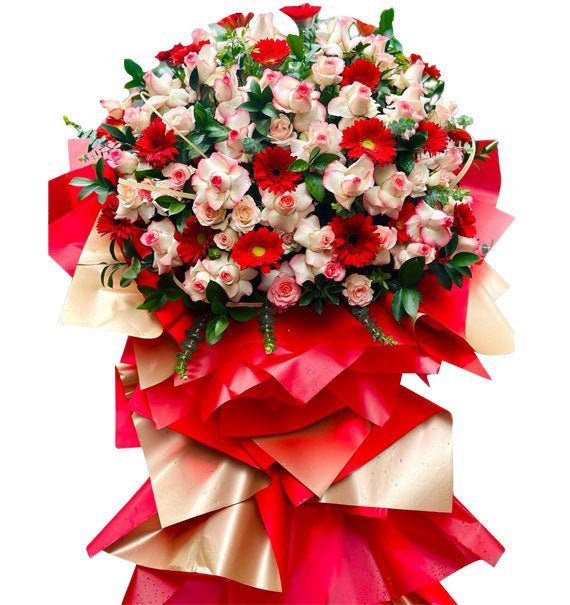 Vững Bước Thành Công