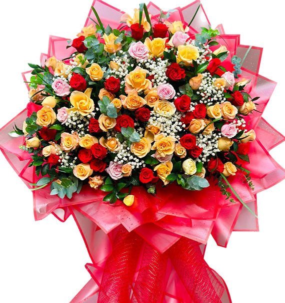 Vững Bước Vinh Quang