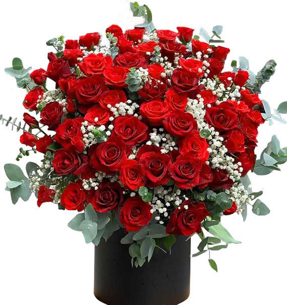 Vươn Tới Tầm Cao