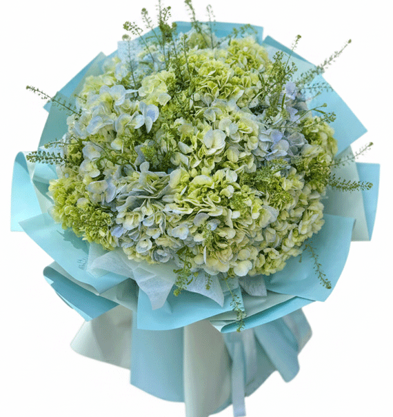 Xanh Mầm Bình Yên