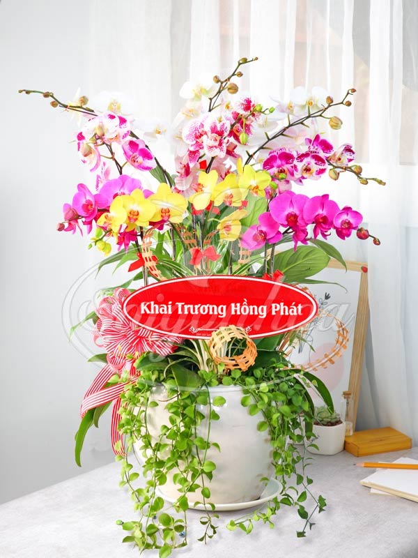Bình Hoa Khai Trương Đẹp