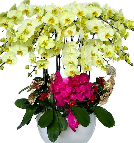 Hoa Khai trương Lan Hồ Điệp