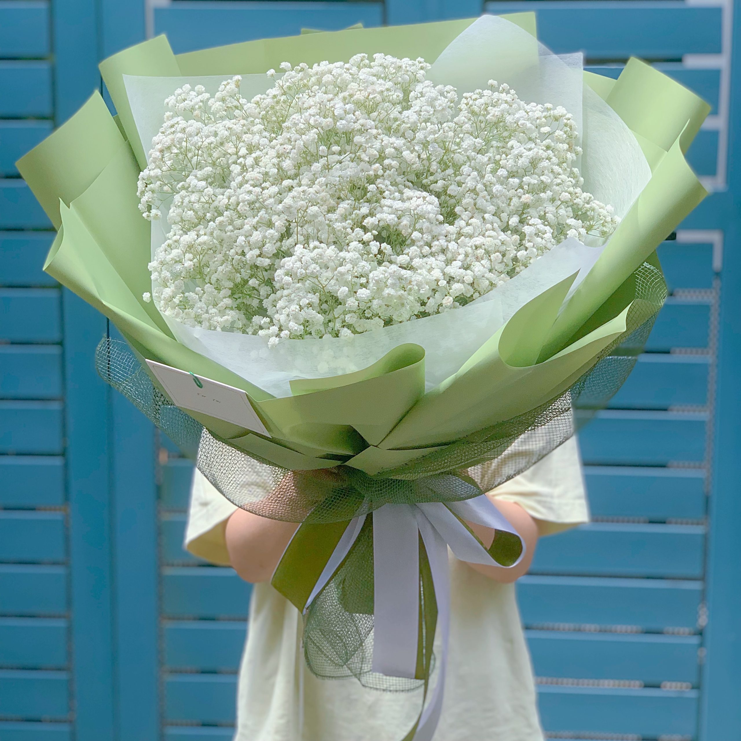 Hoa baby trắng đẹp