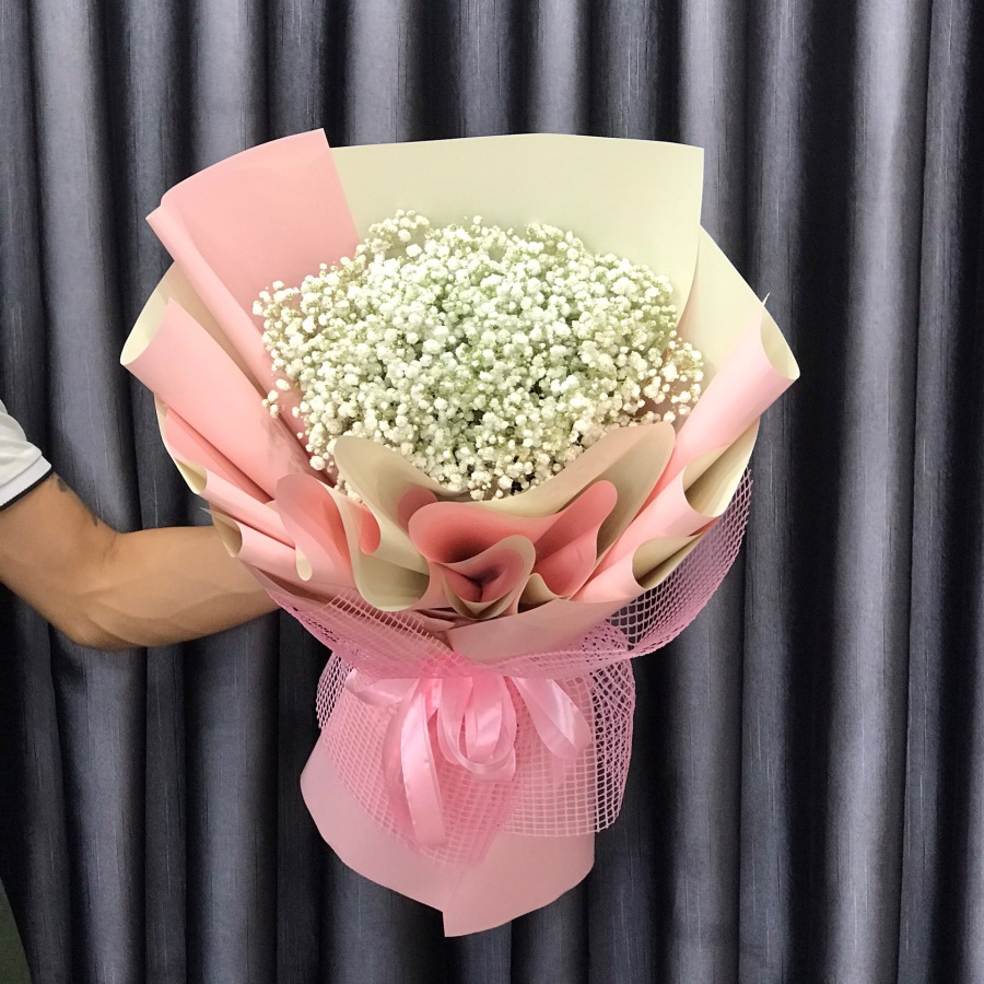 Hoa baby trắng đẹp