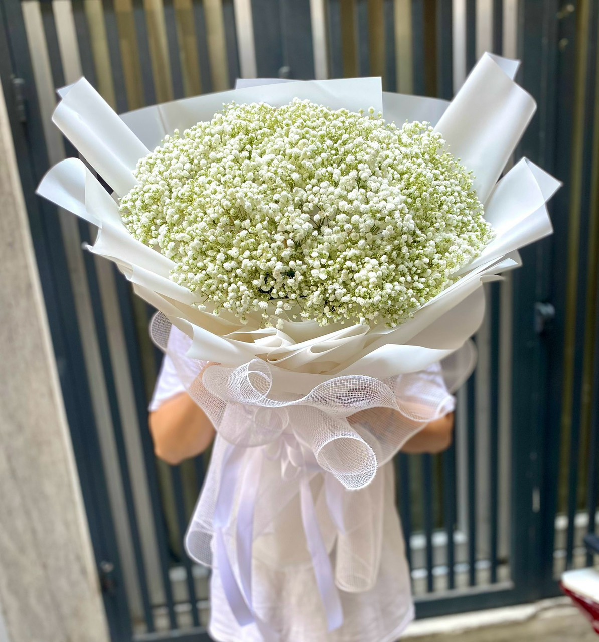 Hoa baby trắng đẹp
