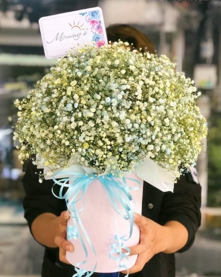 Shop hoa tươi Huế