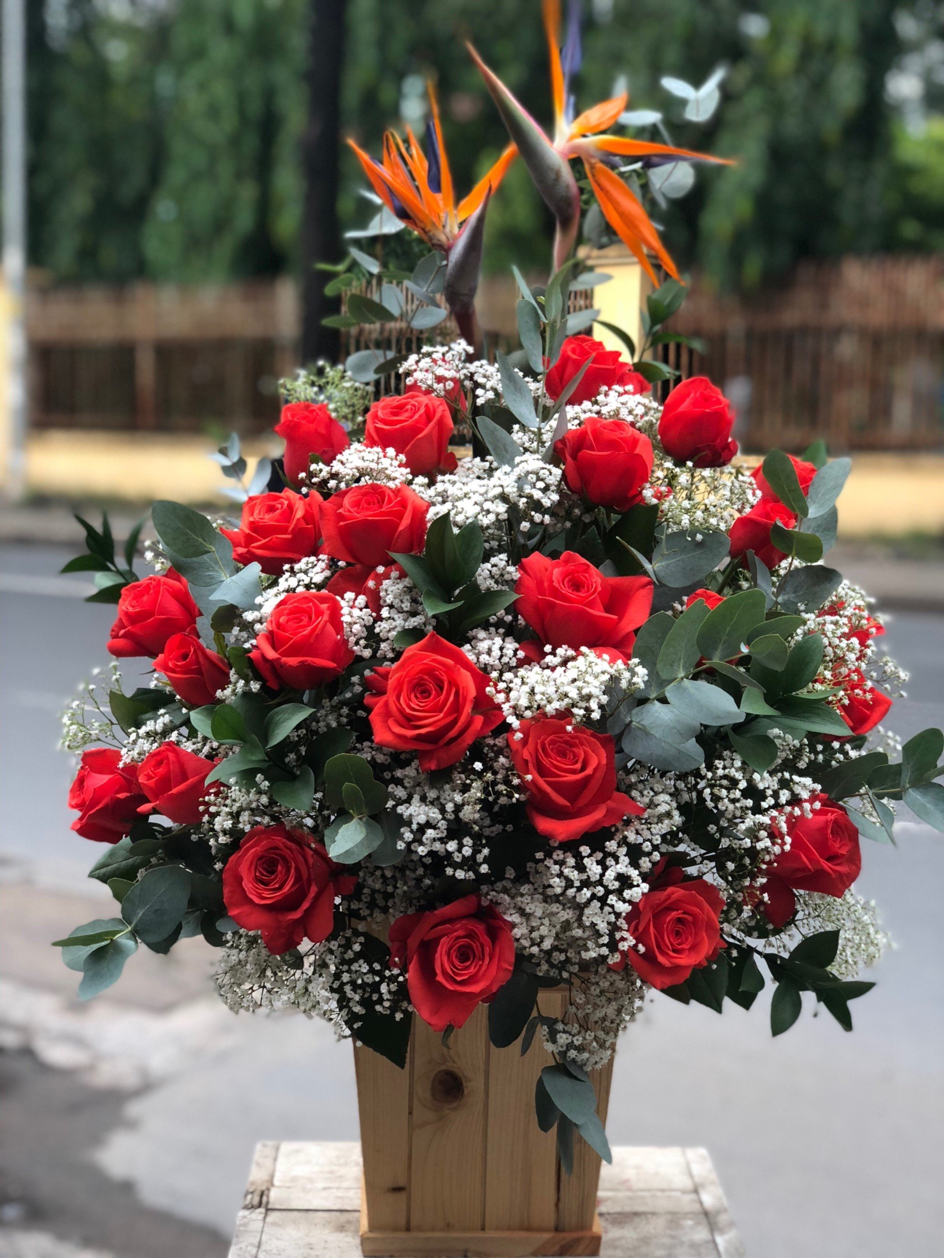 Shop Hoa Tươi Phong Điền