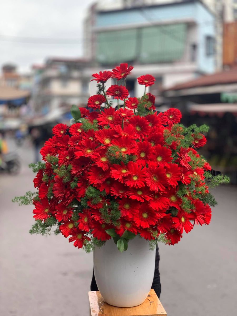Shop hoa tươi Phú Yên