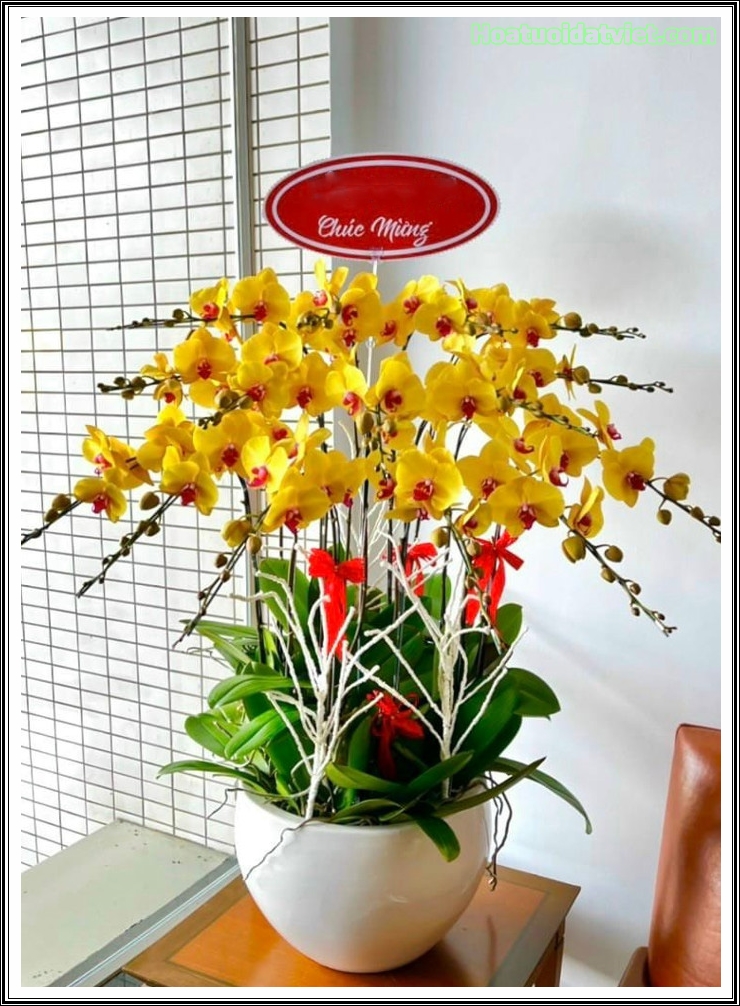 Shop hoa tươi Phường An Thắng