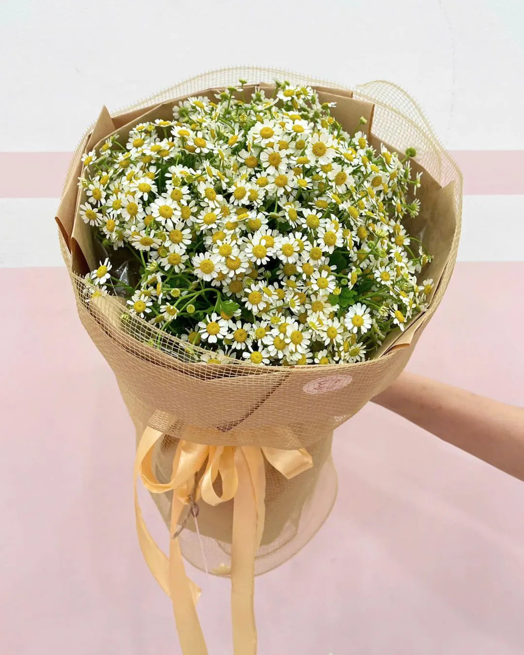 Shop Hoa Tươi Phường Dương Nỗ