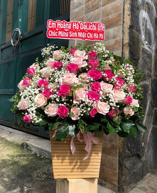 Shop hoa tươi Phường Quảng Phú