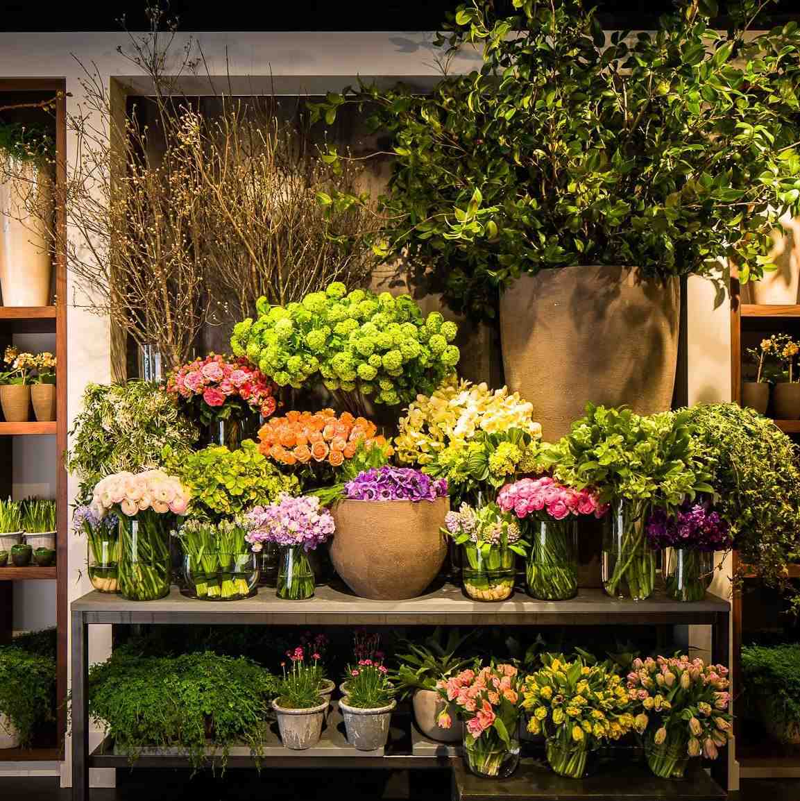 Shop Hoa Tươi xã Phú Vinh